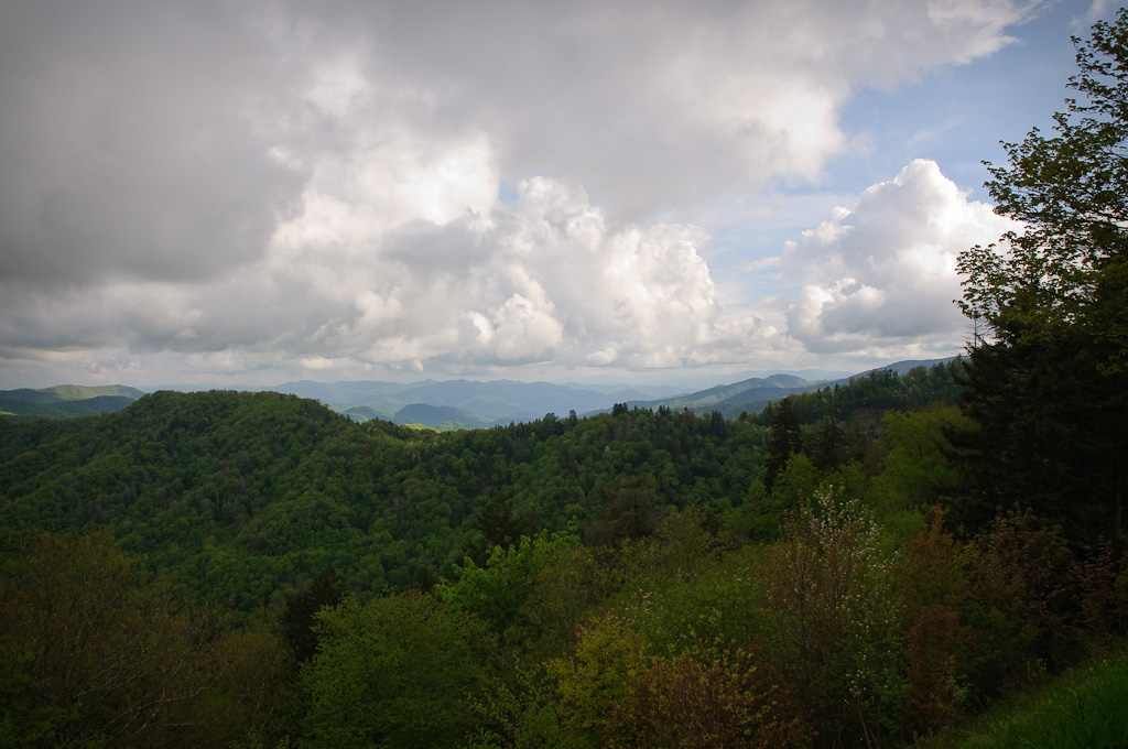 the forest is surrounded by mountains under a cloudy sky