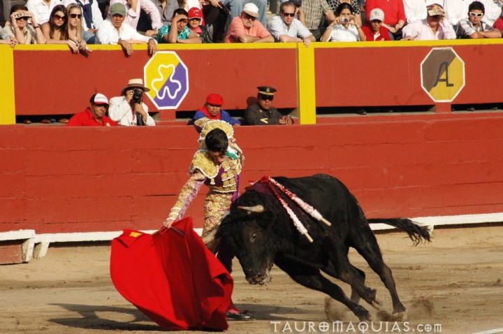 a mata standing next to a bull inside a arena