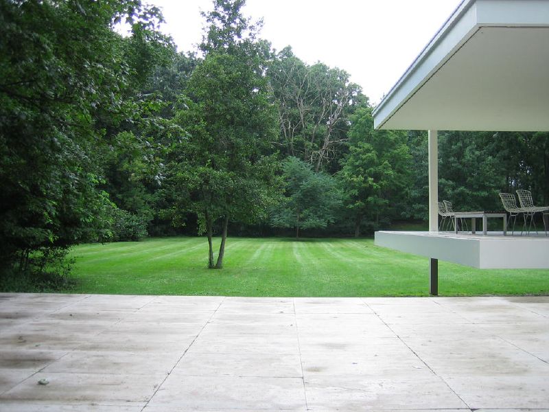 a large backyard with a tree and lawn