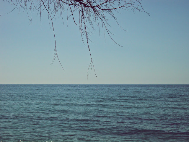 the horizon, with waves coming in and a tree is shown