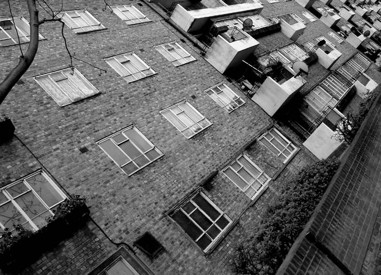 a black and white po shows the building windows