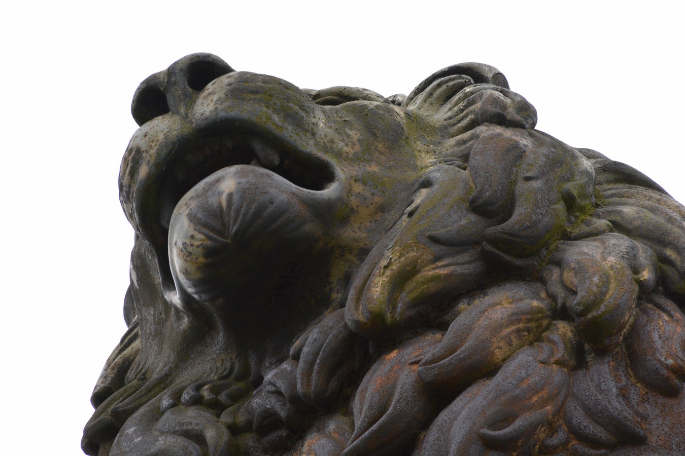 the head of a bronze lion sculpture near a white background