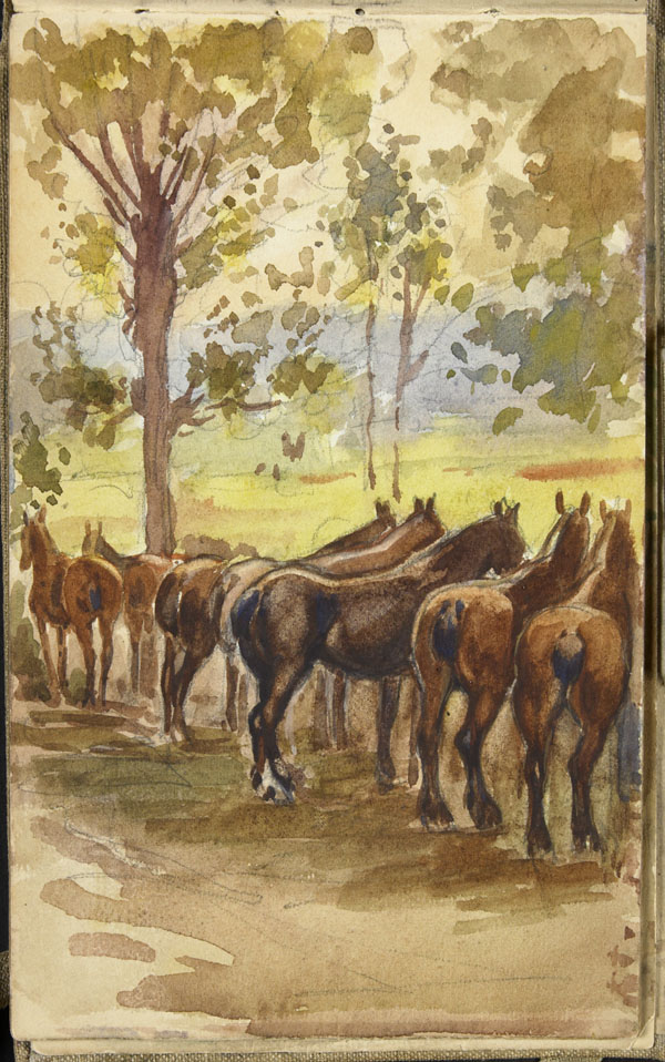 some horse standing by some trees and a bunch of horses
