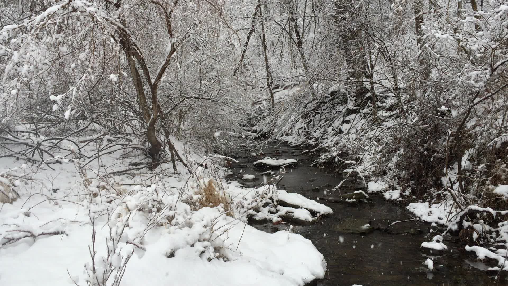 a creek in a snow - covered forest in winter