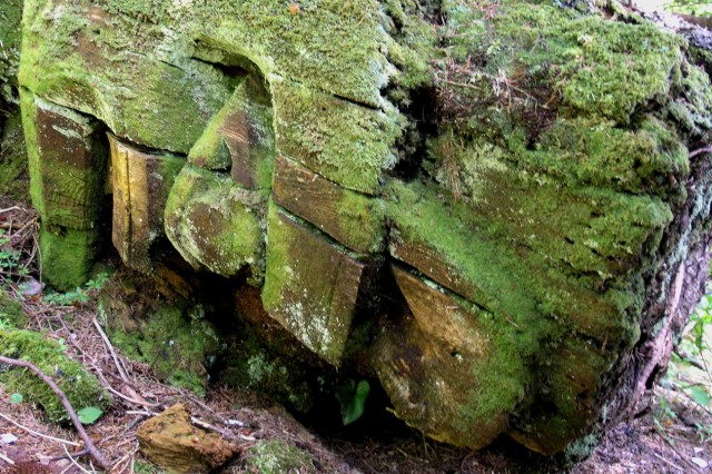 some mossy rocks have a carved face on it