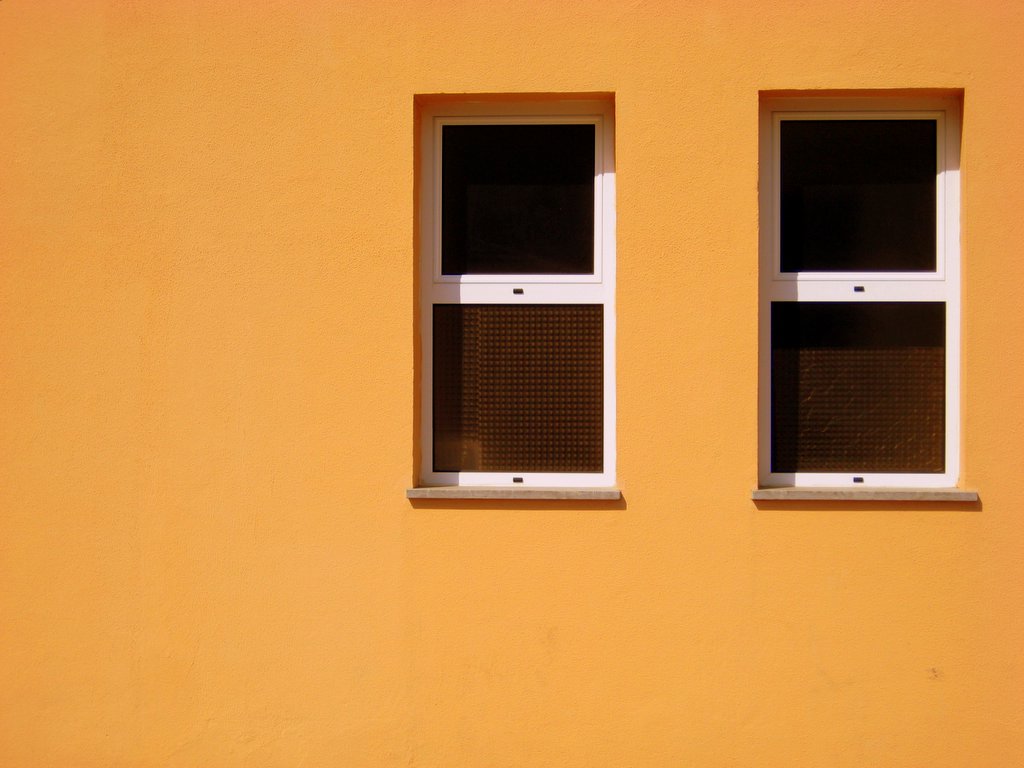 two windows on the side of a building