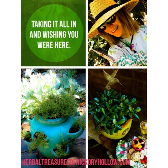 a collage with a po of flowers, hats and herbs