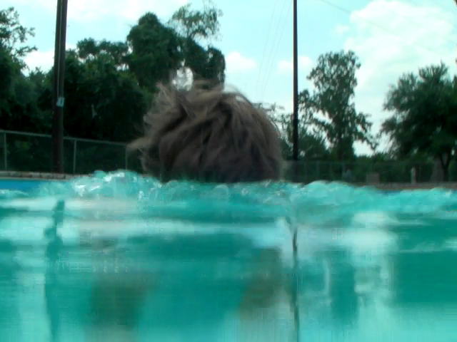 a long haired dog is submerged in a pool