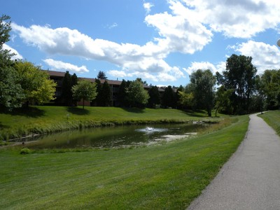 the view of a path in front of a lake and a lush green field