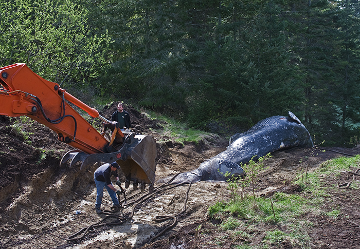 a man in a black jacket working with an orange bulldozer
