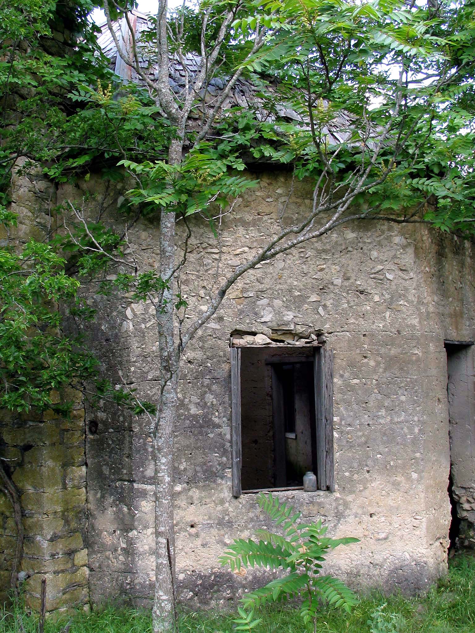 an old building with a tree inside of it