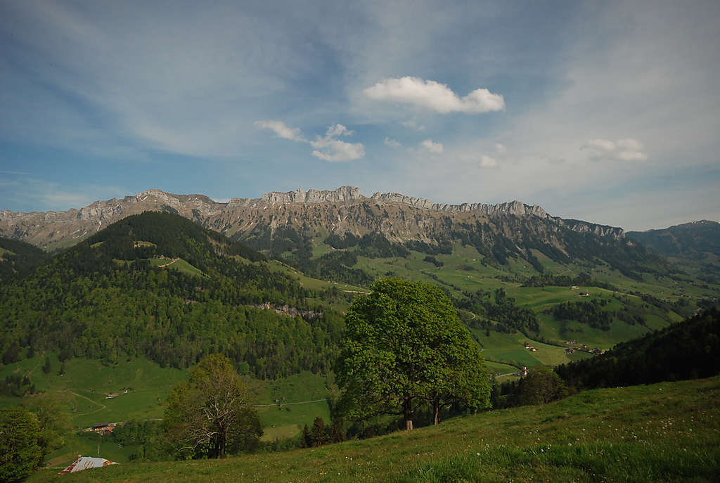 some green mountains in the distance with trees