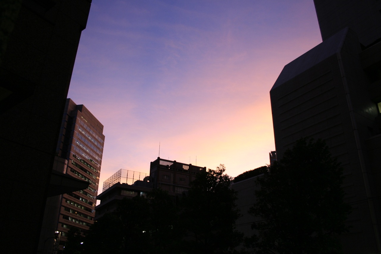 a city sunset taken through a tall building