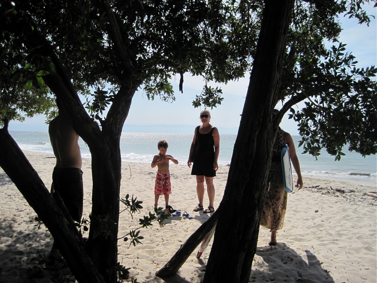 a family on the beach playing ball with a tree