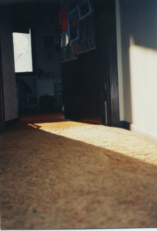 the light is shining into a room with a cat in it