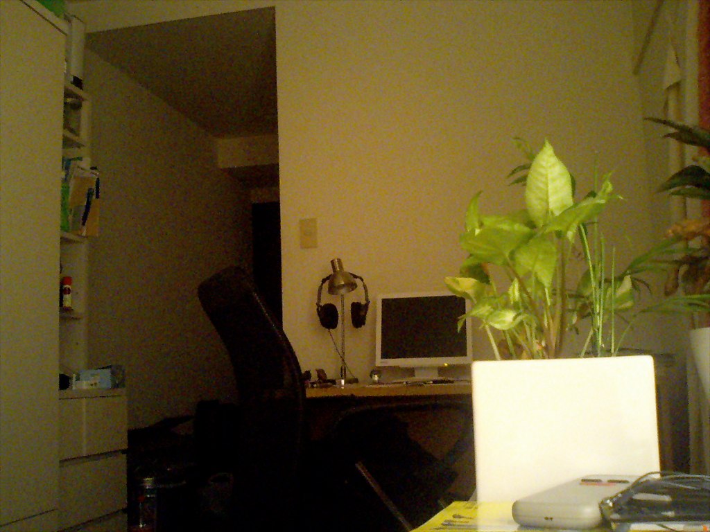 office chair in home with desk full of plants and computer