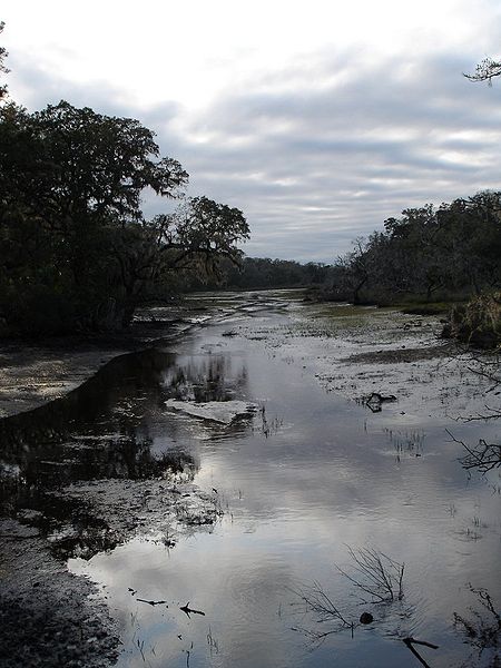 an image of there are many trees on the land