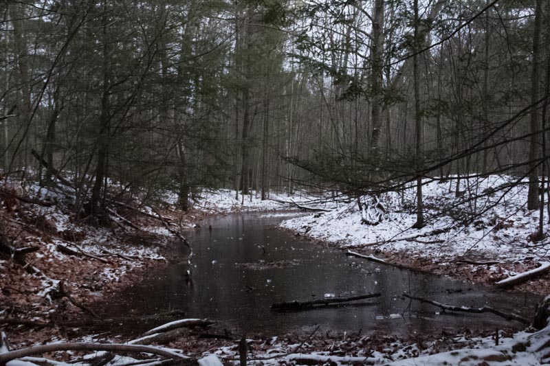 snow covered and wooded area with a small creek