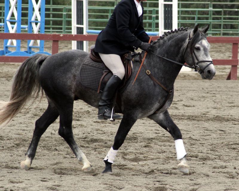 a man is riding a horse around a track