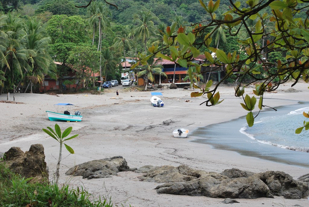 many people on a beach by boats