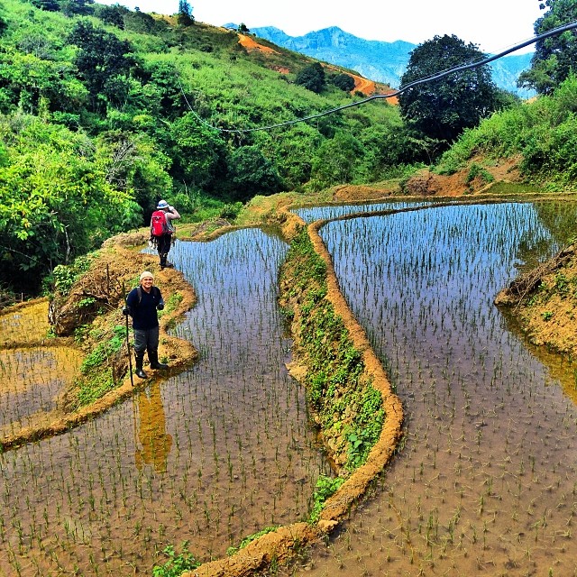 a woman and child walking on a path with rice terraces
