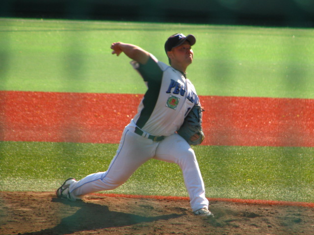 a pitcher throwing a ball during a baseball game