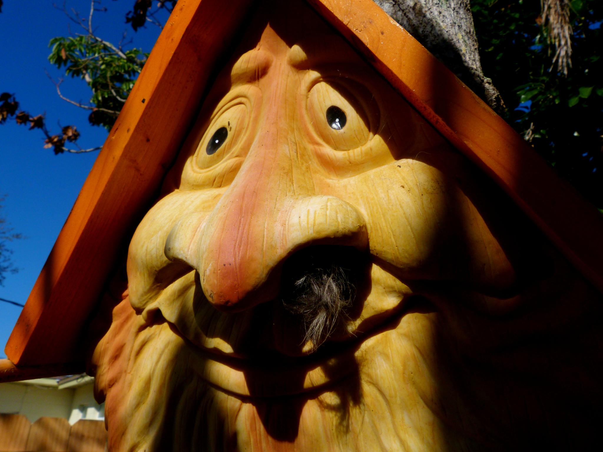 a pumpkin head is positioned outside a house