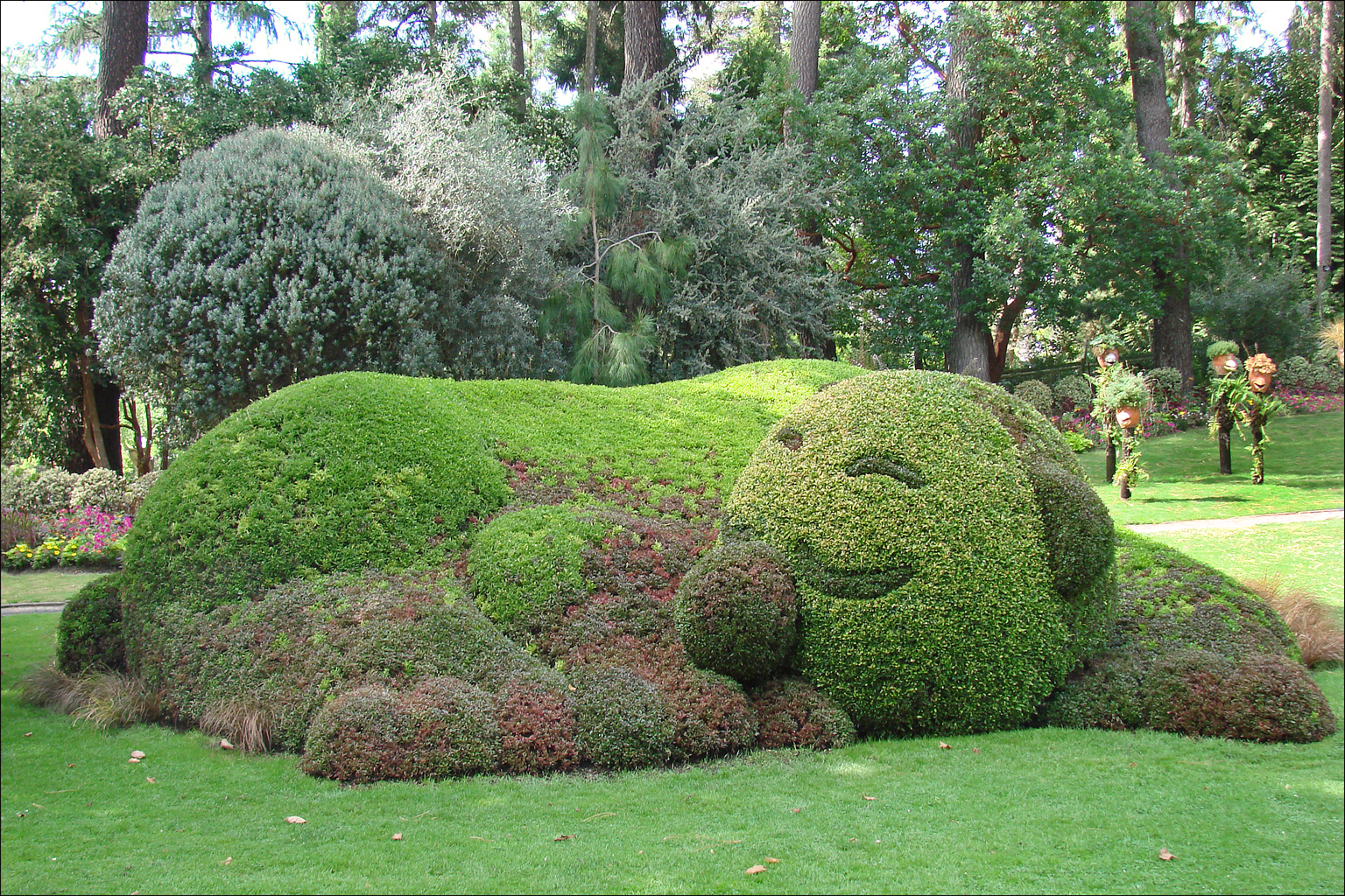 a large green hedge is shaped like a dog
