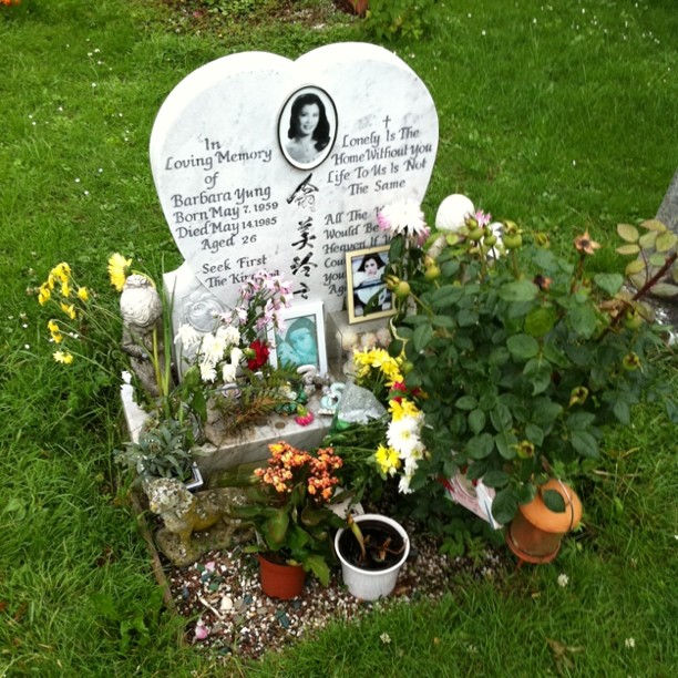 a headstone surrounded by plants and pos