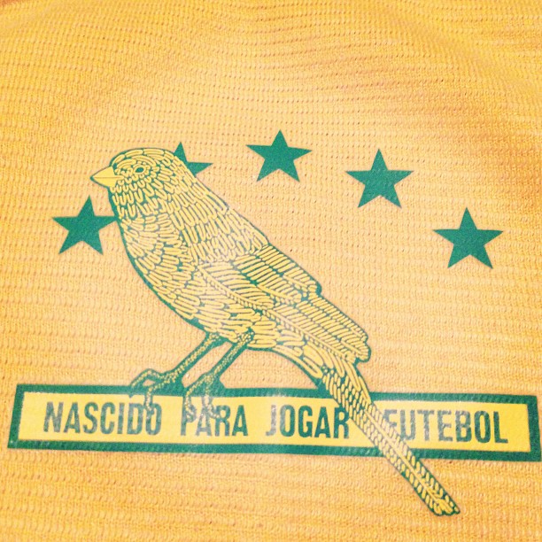 the back of a yellow shirt with a black and green bird on it