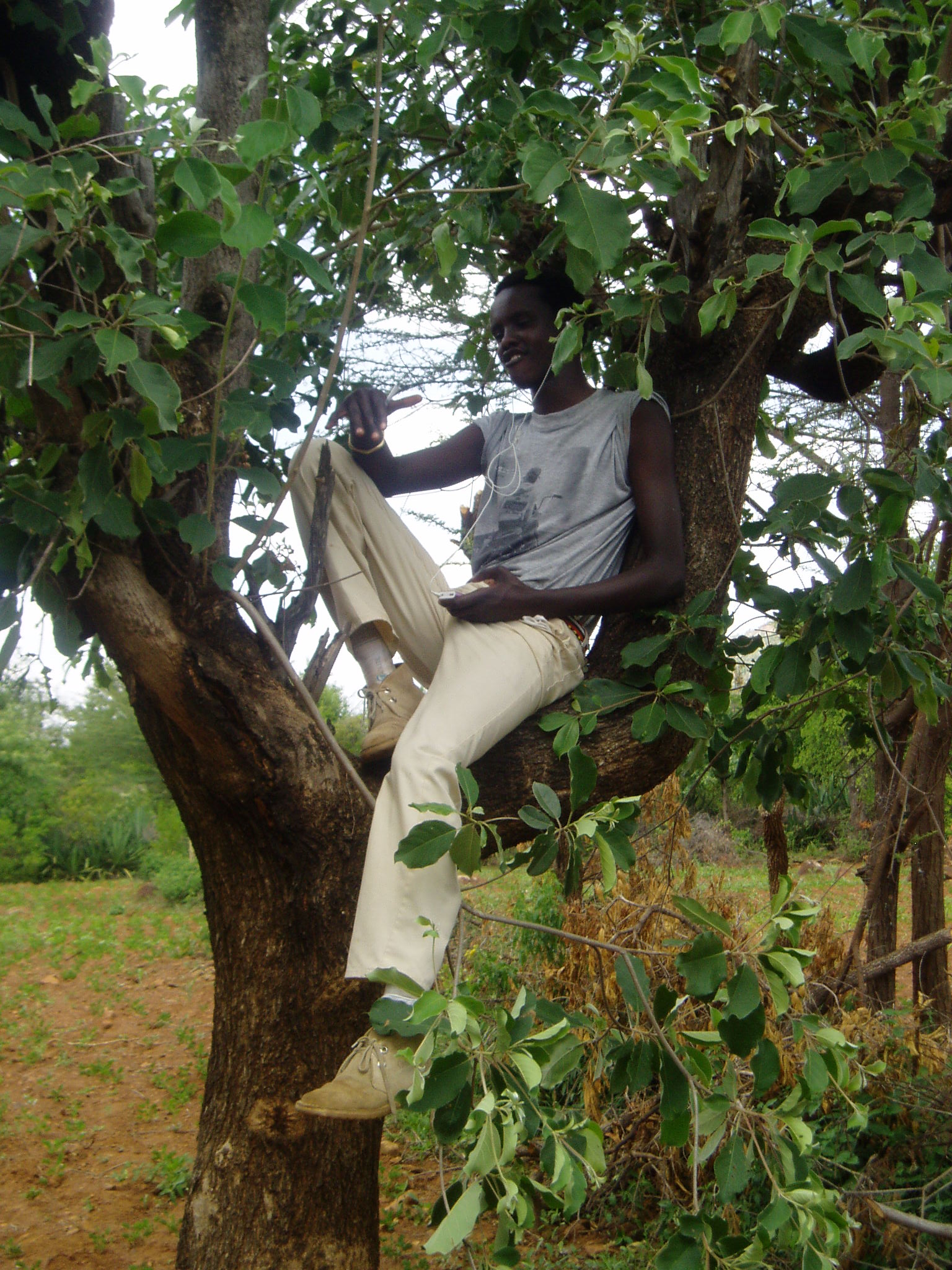 a man sitting in a tree eating soing