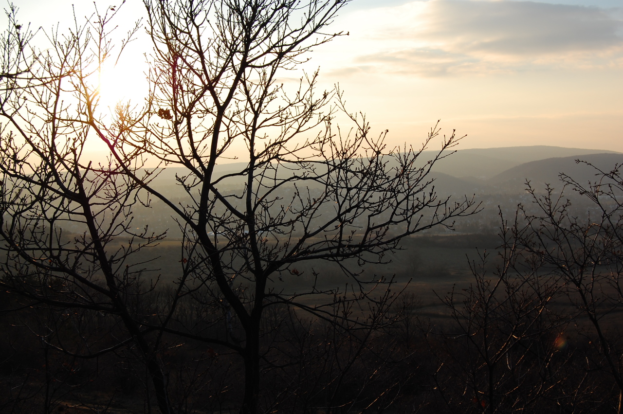 a view of the mountains and trees in the distance