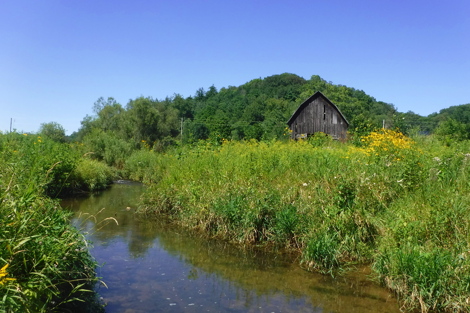 an old barn near the side of a river