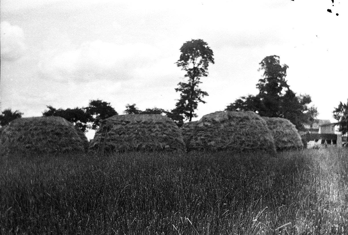 several bales in a grassy field surrounded by trees