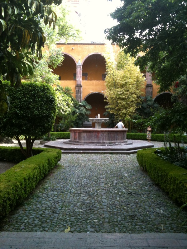 the courtyard is full of beautiful greenery and shrubs