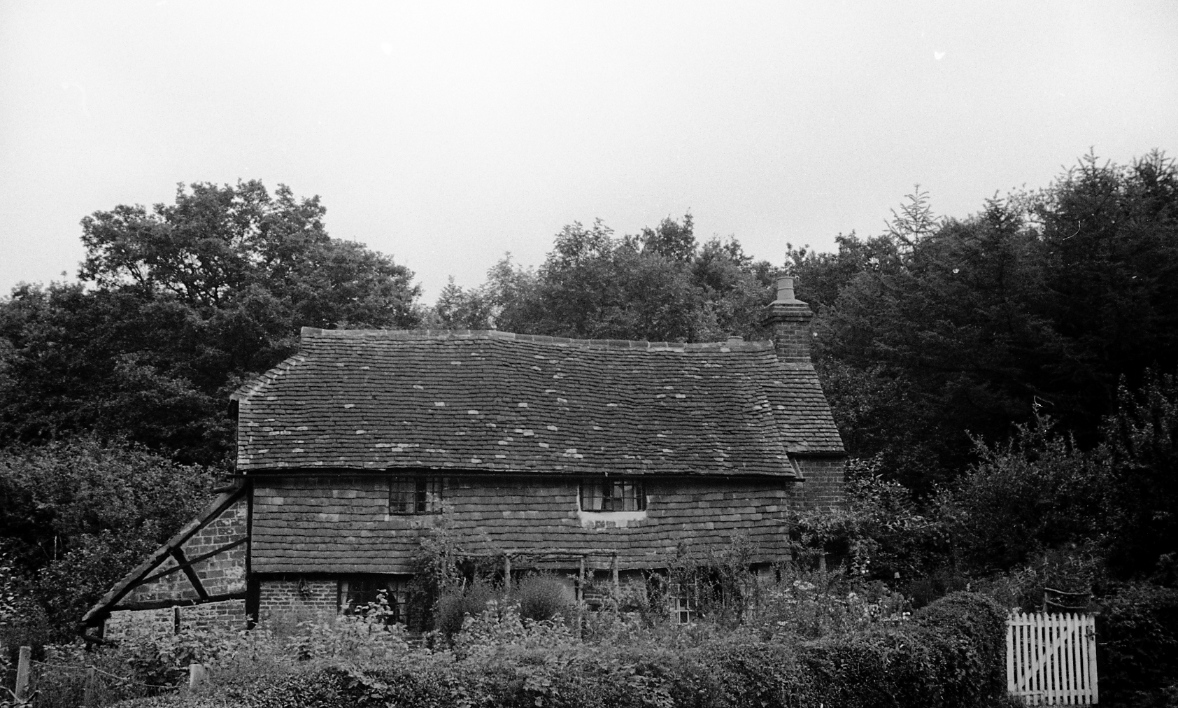 an old, rustic building in the woods