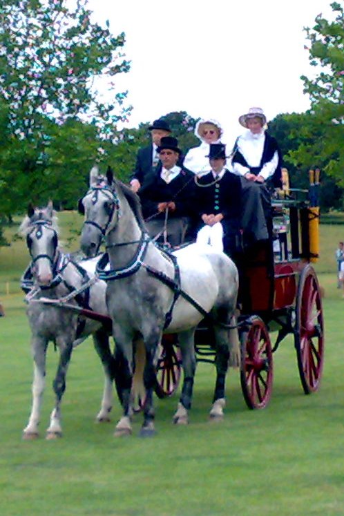 an image of people that are riding on a carriage