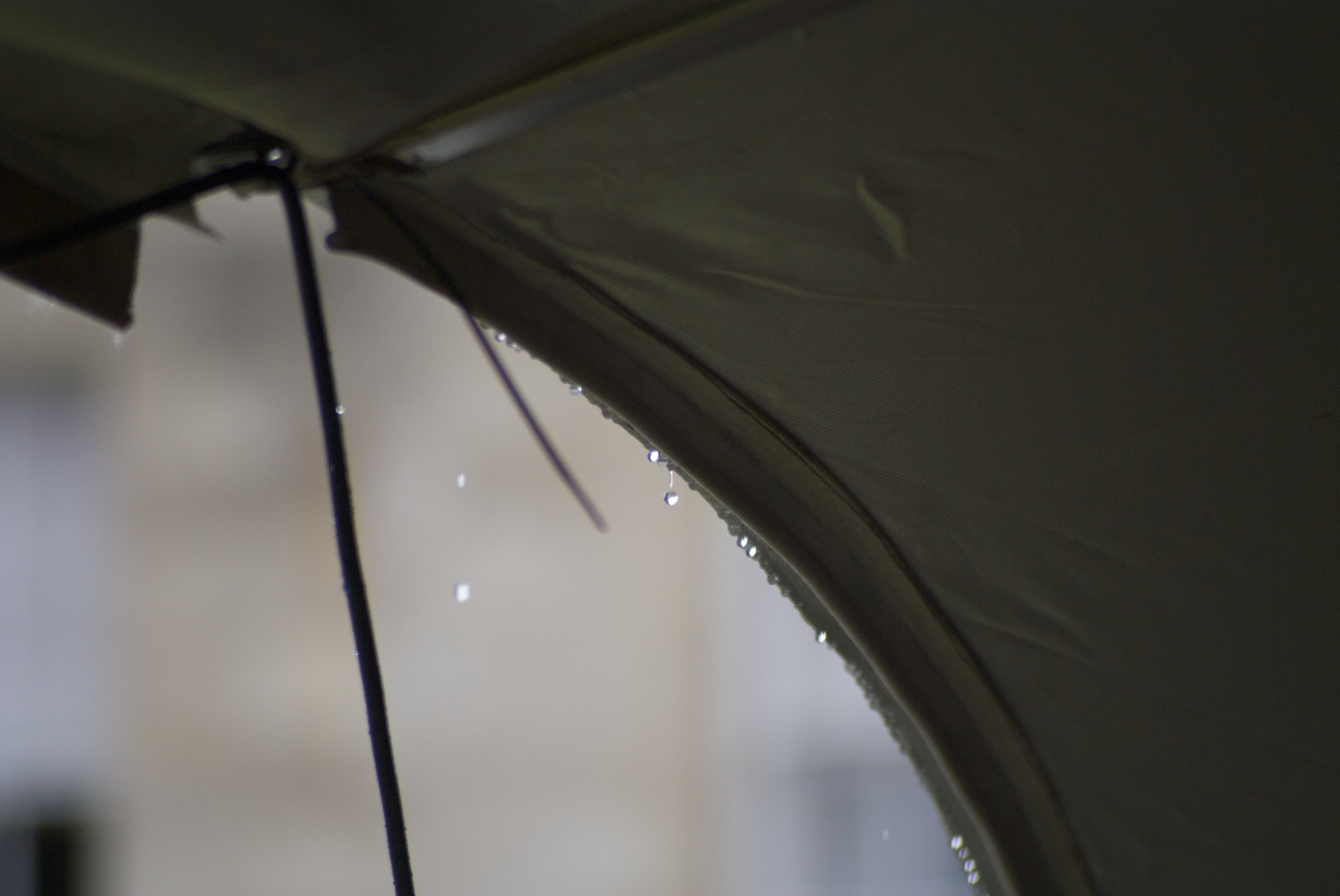 a close up of an umbrella with water droplets