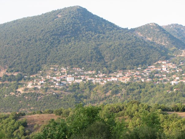 trees in the foreground of a small town in a mountainous valley