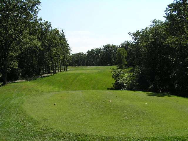 green grass near two white and black tees