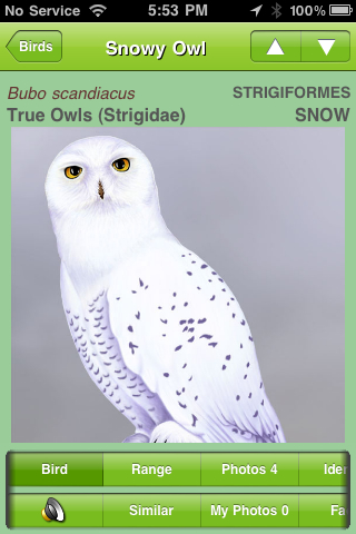 an app for taking pictures of white owls