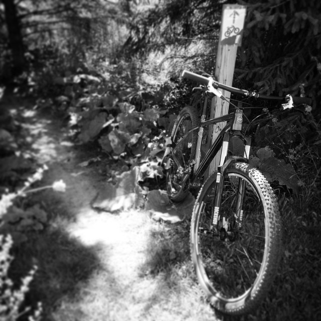 a black and white po of a bike sitting on a rock trail