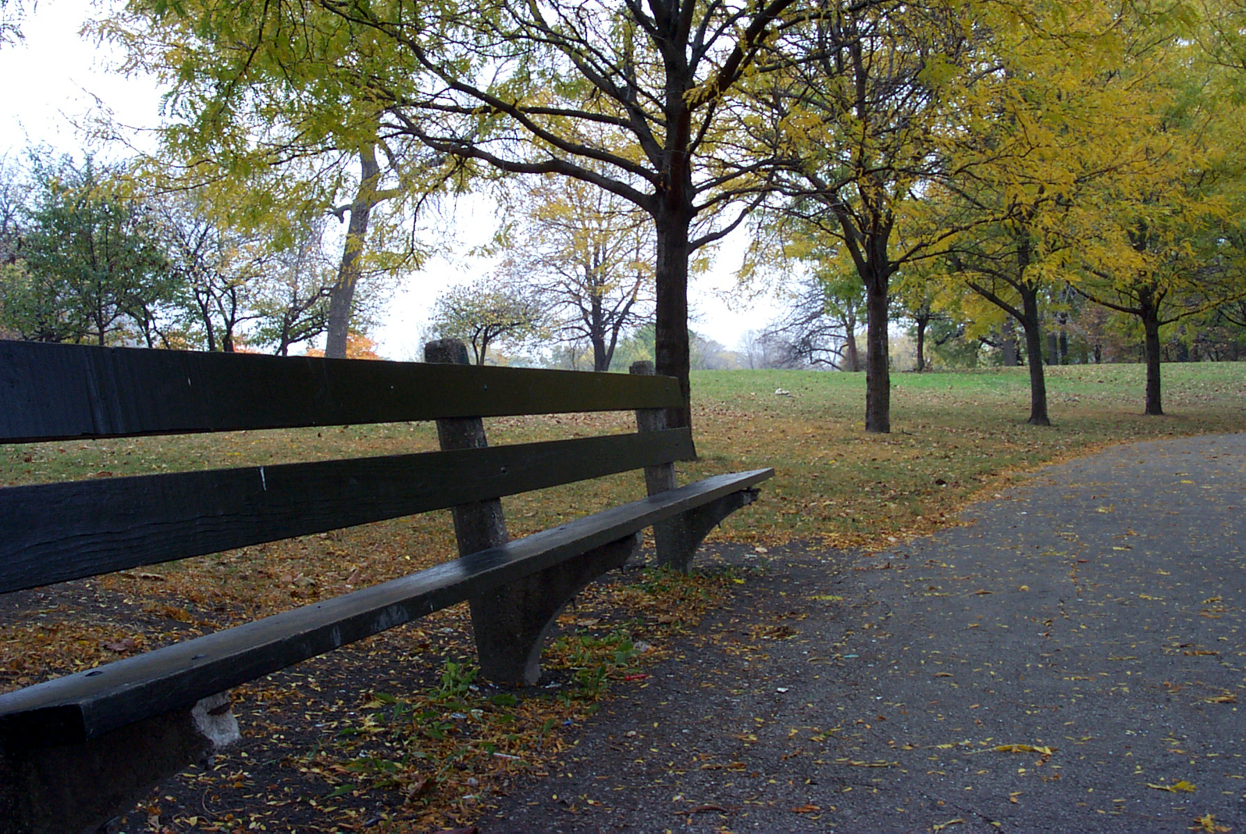 a wooden park bench surrounded by trees