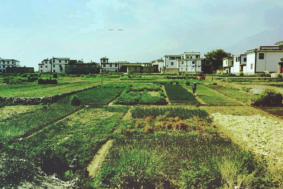 a green field and buildings under a blue sky