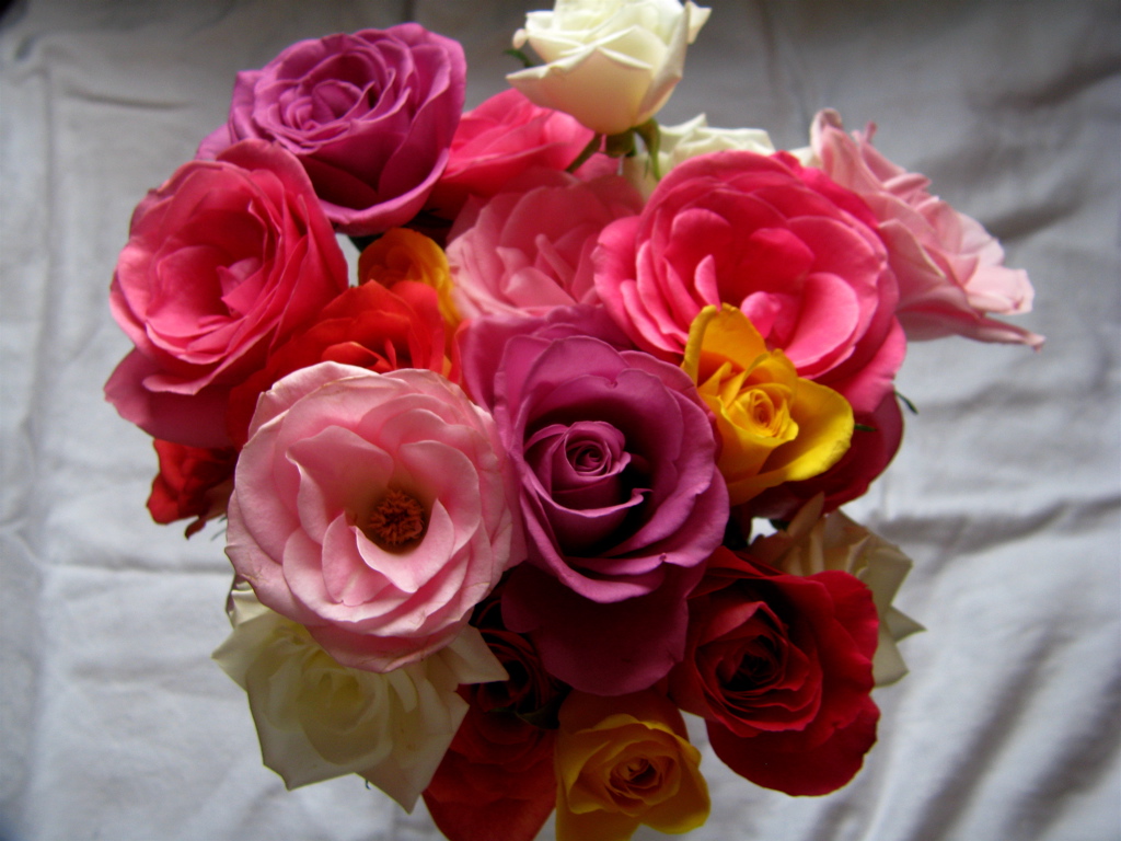 the paper flowers are a mix of red, pink and yellow