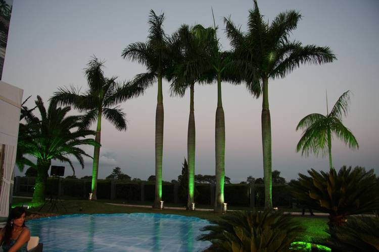 palm trees next to a pool are lit up with green lights