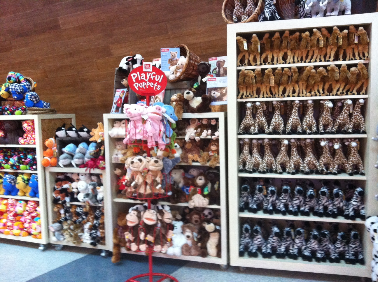 a display of a variety of shoes and clothing items
