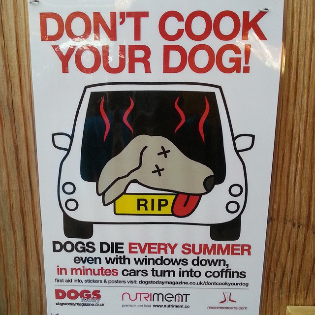 sign with don't cook your dog written on the back