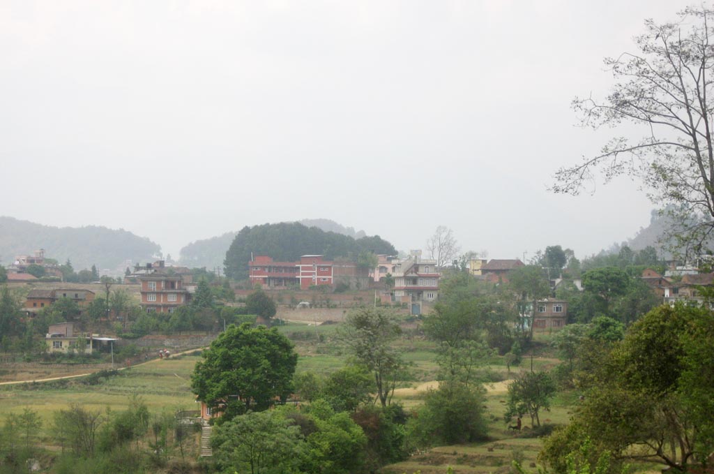 an area with trees and houses in the background