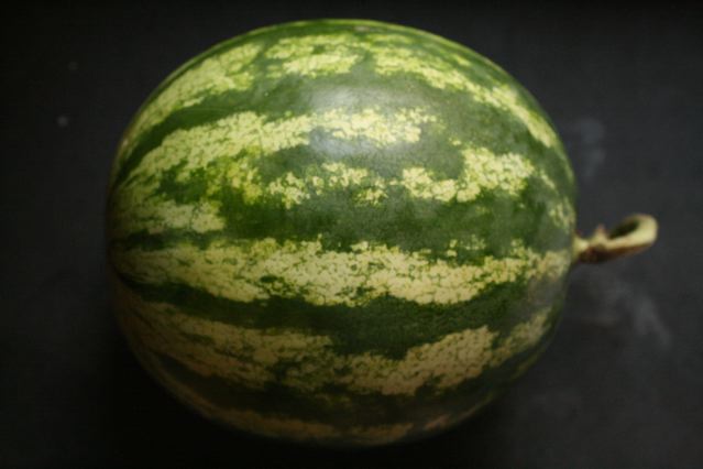 a watermelon is displayed on a black surface